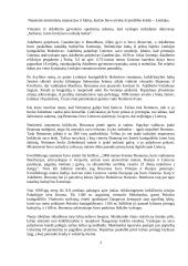 Lietuvos krikšto istorija 2 puslapis