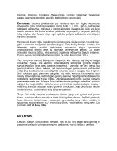 Lietuvos pajūrio ypatumai 5 puslapis