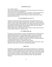 Liturginės šventės 19 puslapis