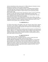 Liturginės šventės 20 puslapis