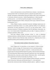 Matematikos vaidmuo ekonominiame pažinime 8 puslapis