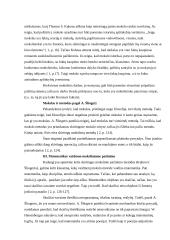 Matematikos vaidmuo moksliniame pažinime 4 puslapis