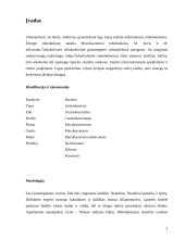 Mycobacterium tuberculosis. Žmonių tuberkuliozės sukėlėjas 2 puslapis