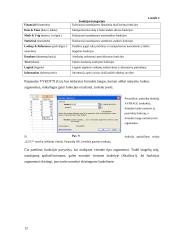 Microsoft Excel skaičiuoklė ir kaip ja naudotis 12 puslapis