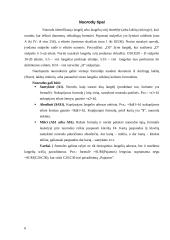 Microsoft Excel skaičiuoklė ir kaip ja naudotis 6 puslapis