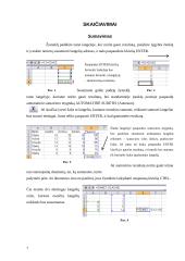 Microsoft Excel skaičiuoklė ir kaip ja naudotis 7 puslapis