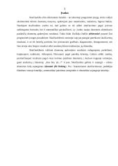 Microsoft Excel. Skaičiuoklės sąrašas 3 puslapis