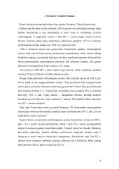 Miestų pradžia Lietuvoje 7 puslapis