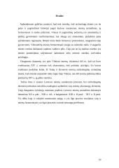 Miestų pradžia Lietuvoje 9 puslapis