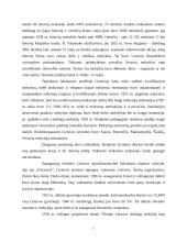 Mokykla Lietuvoje 1918-1940 metais 4 puslapis