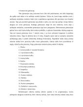 Mokykla Lietuvoje 1918-1940 metais 8 puslapis