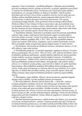 Neigiamos aborto pasekmės moters sveikatai 4 puslapis