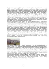 Nigerijos geografinė padėtis ir gamtos įvairovė  3 puslapis