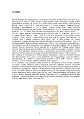 Nigerijos geografinė padėtis ir gamtos įvairovė  5 puslapis