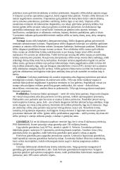 Dermatologija bei odos ligos 16 puslapis