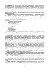 Dermatologija bei odos ligos 6 puslapis