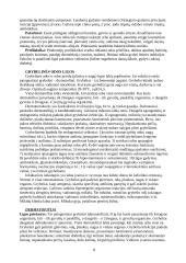 Dermatologija bei odos ligos 8 puslapis