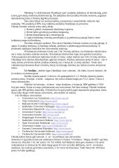 Olandijos ypatybės 12 puslapis