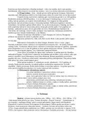 Olandijos ypatybės 13 puslapis