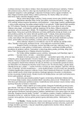 Olandijos ypatybės 16 puslapis