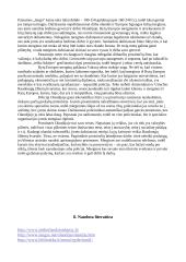 Olandijos ypatybės 20 puslapis