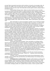 Olandijos ypatybės 8 puslapis