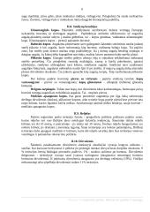Pajūrio regioninis parkas. Rekreacinė aplinka ir apsauga 6 puslapis