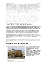 Panevėžys 3 puslapis