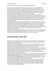 Panevėžys 6 puslapis