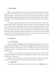 Pasaulio religijos: islamas 3 puslapis