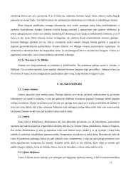 Pasaulio religijos: islamas 8 puslapis