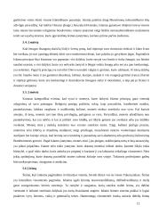 Pasaulio religijos: islamas 9 puslapis