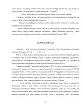Paveldimi chromosominiai sindromai 12 puslapis