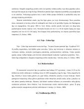 Paveldimi chromosominiai sindromai 15 puslapis