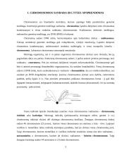 Paveldimi chromosominiai sindromai 3 puslapis