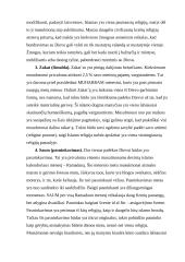 Penkios islamo tiesos 3 puslapis