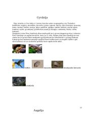 Pietų Amerikos geografija, klimatas, gamta 9 puslapis