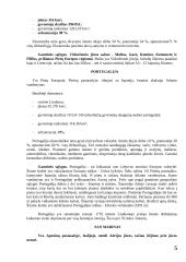 Pietų Europos regionas 6 puslapis