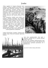 Pirmasis pasaulinis karas - priežastys, pradžia, eiga bei padariniai 3 puslapis