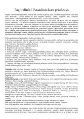 Pirmasis pasaulinis karas - priežastys, pradžia, eiga bei padariniai 4 puslapis