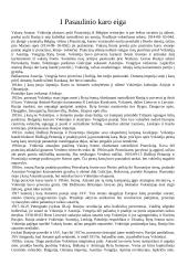 Pirmasis pasaulinis karas - priežastys, pradžia, eiga bei padariniai 6 puslapis