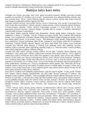 Pirmasis pasaulinis karas - priežastys, pradžia, eiga bei padariniai 8 puslapis