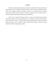 Popieriaus technologinės apsaugos elementai 13 puslapis