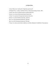 Popieriaus technologinės apsaugos elementai 14 puslapis