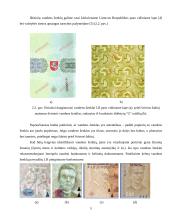 Popieriaus technologinės apsaugos elementai 5 puslapis