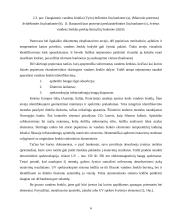 Popieriaus technologinės apsaugos elementai 6 puslapis