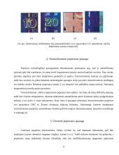 Popieriaus technologinės apsaugos elementai 9 puslapis