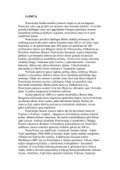 Prancūzijos statistiniai duomenys ir kita informacija 4 puslapis