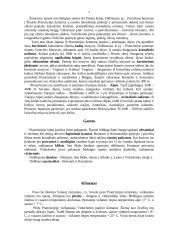 Prancūzijos apžvalga 3 puslapis