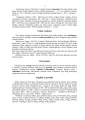 Prancūzijos apžvalga 4 puslapis